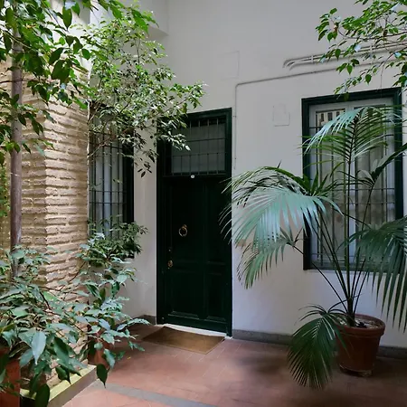 Fororomano Luxury Rom